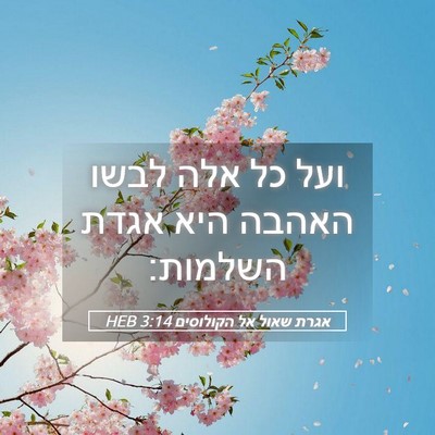 Picture 05 - אגרת שאול אל הקולוסים 3:14 HEB - ועל כל אלה לבשו האהבה היא - Bible Verse Picture