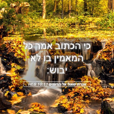 Picture 05 - אגרת שאול אל הרומים 10:11 HEB - כי הכתוב אמר כל המאמין בו - Bible Verse Picture