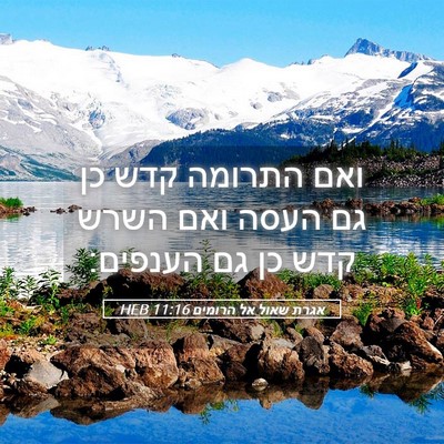 Picture 05 - אגרת שאול אל הרומים 11:16 HEB - ואם התרומה קדש כן גם העסה - Bible Verse Picture