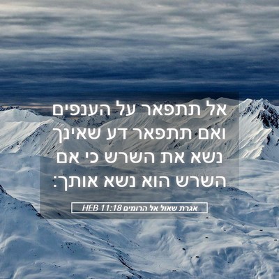 Picture 05 - אגרת שאול אל הרומים 11:18 HEB - אל תתפאר על הענפים ואם - Bible Verse Picture