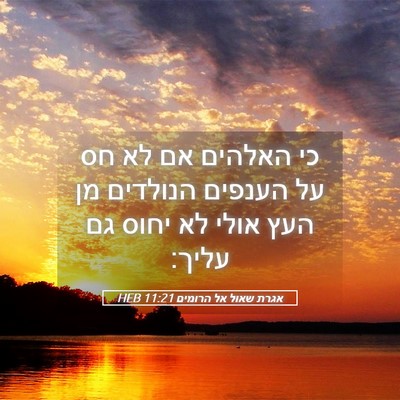 Picture 05 - אגרת שאול אל הרומים 11:21 HEB - כי האלהים אם לא חס על - Bible Verse Picture
