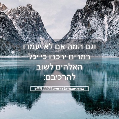 Picture 05 - אגרת שאול אל הרומים 11:23 HEB - וגם המה אם לא יעמדו במרים - Bible Verse Picture