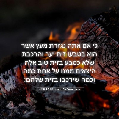 Picture 05 - אגרת שאול אל הרומים 11:24 HEB - כי אם אתה נגזרת מעץ אשר הוא - Bible Verse Picture