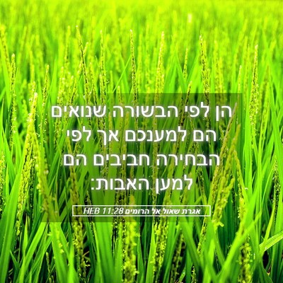 Picture 05 - אגרת שאול אל הרומים 11:28 HEB - הן לפי הבשורה שנואים הם - Bible Verse Picture