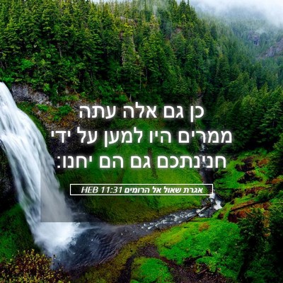 Picture 05 - אגרת שאול אל הרומים 11:31 HEB - כן גם אלה עתה ממרים היו - Bible Verse Picture