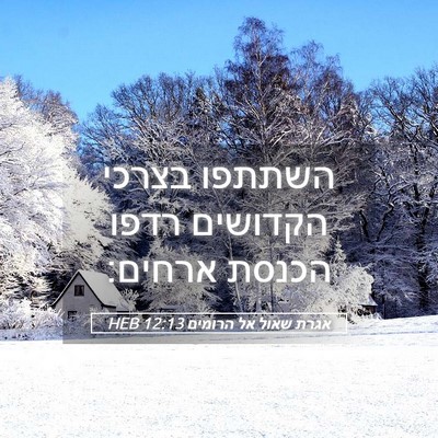 Picture 05 - אגרת שאול אל הרומים 12:13 HEB - השתתפו בצרכי הקדושים רדפו - Bible Verse Picture