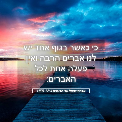 Picture 05 - אגרת שאול אל הרומים 12:4 HEB - כי כאשר בגוף אחד יש לנו - Bible Verse Picture