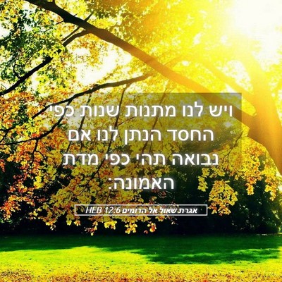 Picture 05 - אגרת שאול אל הרומים 12:6 HEB - ויש לנו מתנות שנות כפי החסד - Bible Verse Picture
