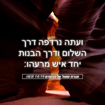 Picture 05 - אגרת שאול אל הרומים 14:19 HEB - ועתה נרדפה דרך השלום ודרך - Bible Verse Picture