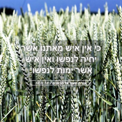 Picture 05 - אגרת שאול אל הרומים 14:7 HEB - כי אין איש מאתנו אשר יחיה - Bible Verse Picture