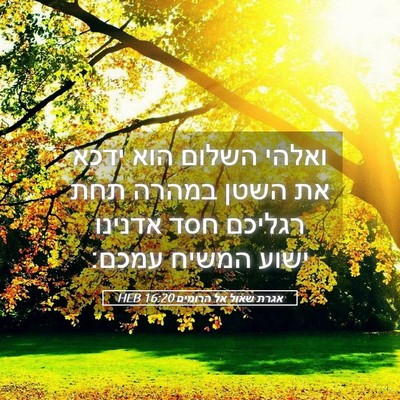 Picture 05 - אגרת שאול אל הרומים 16:20 HEB - ואלהי השלום הוא ידכא את - Bible Verse Picture