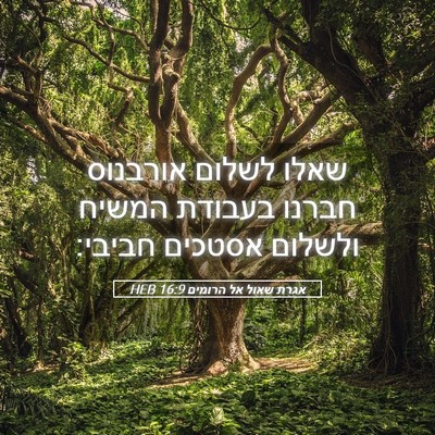 Picture 05 - אגרת שאול אל הרומים 16:9 HEB - שאלו לשלום אורבנוס חברנו - Bible Verse Picture
