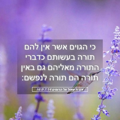 Picture 05 - אגרת שאול אל הרומים 2:14 HEB - כי הגוים אשר אין להם תורה - Bible Verse Picture