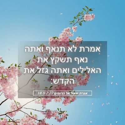Picture 05 - אגרת שאול אל הרומים 2:22 HEB - אמרת לא תנאף ואתה נאף תשקץ - Bible Verse Picture