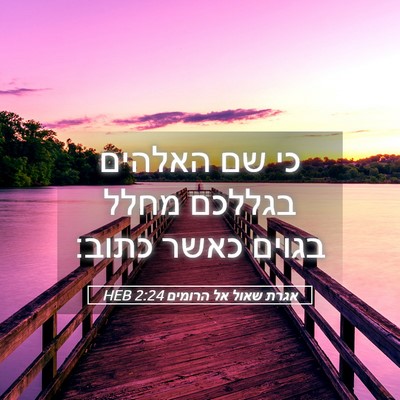 Picture 05 - אגרת שאול אל הרומים 2:24 HEB - כי שם האלהים בגללכם מחלל - Bible Verse Picture