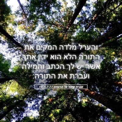 Picture 05 - אגרת שאול אל הרומים 2:27 HEB - והערל מלדה המקים את התורה - Bible Verse Picture