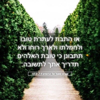 Picture 05 - אגרת שאול אל הרומים 2:4 HEB - או התבוז לעתרת טובו - Bible Verse Picture