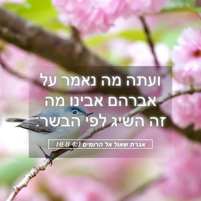 Picture 05 - אגרת שאול אל הרומים 4:1 HEB - ועתה מה נאמר על אברהם אבינו - Bible Verse Picture