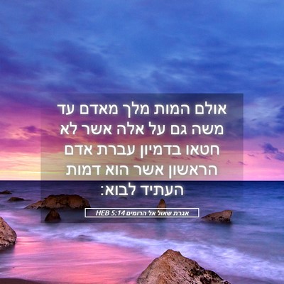 Picture 05 - אגרת שאול אל הרומים 5:14 HEB - אולם המות מלך מאדם עד משה - Bible Verse Picture