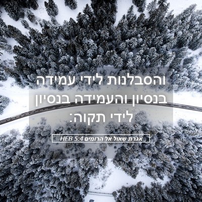 Picture 05 - אגרת שאול אל הרומים 5:4 HEB - והסבלנות לידי עמידה בנסיון - Bible Verse Picture