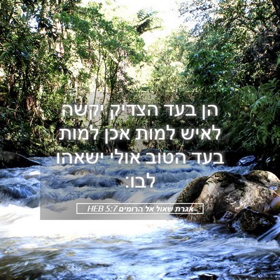 Picture 05 - אגרת שאול אל הרומים 5:7 HEB - הן בעד הצדיק יקשה לאיש למות - Bible Verse Picture