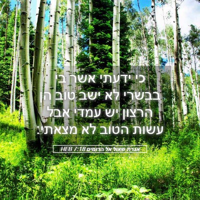 Picture 05 - אגרת שאול אל הרומים 7:18 HEB - כי ידעתי אשר בי בבשרי לא - Bible Verse Picture