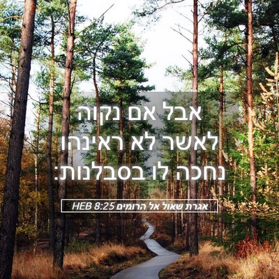 Picture 05 - אגרת שאול אל הרומים 8:25 HEB - אבל אם נקוה לאשר לא ראינהו - Bible Verse Picture