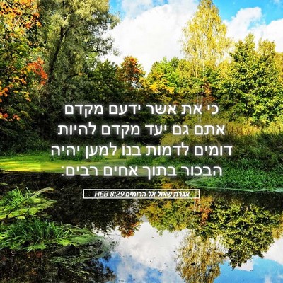 Picture 05 - אגרת שאול אל הרומים 8:29 HEB - כי את אשר ידעם מקדם אתם גם - Bible Verse Picture