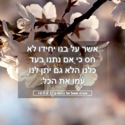 Picture 05 - אגרת שאול אל הרומים 8:32 HEB - אשר על בנו יחידו לא חס כי אם - Bible Verse Picture
