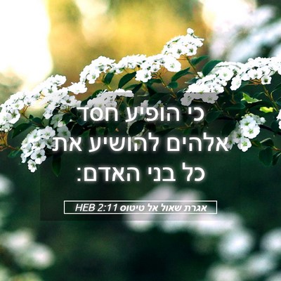 Picture 05 - אגרת שאול אל טיטוס 2:11 HEB - כי הופיע חסד אלהים להושיע - Bible Verse Picture