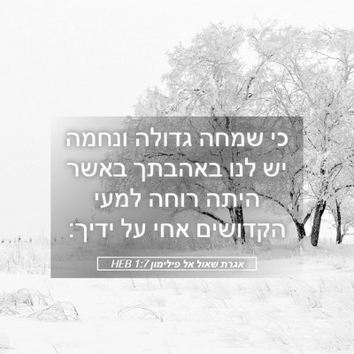Picture 05 - אגרת שאול אל פילימון 1:7 HEB - כי שמחה גדולה ונחמה יש לנו - Bible Verse Picture
