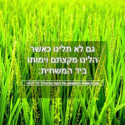 Picture 05 - אגרת שאול הראשונה אל הקורינתים 10:10 HEB - גם לא תלינו כאשר הלינו - Bible Verse Picture