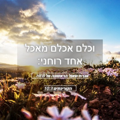 Picture 05 - אגרת שאול הראשונה אל הקורינתים 10:3 HEB - וכלם אכלם מאכל אחד - Bible Verse Picture