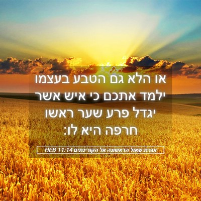 Picture 05 - אגרת שאול הראשונה אל הקורינתים 11:14 HEB - או הלא גם הטבע בעצמו ילמד - Bible Verse Picture