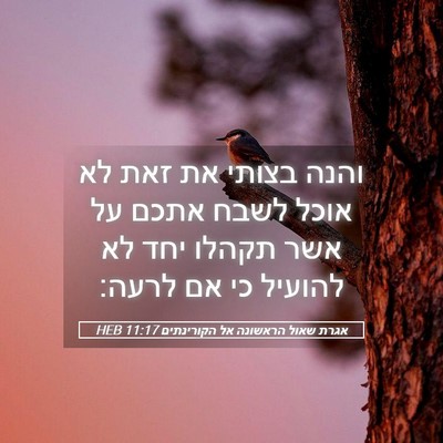 Picture 05 - אגרת שאול הראשונה אל הקורינתים 11:17 HEB - והנה בצותי את זאת לא אוכל - Bible Verse Picture