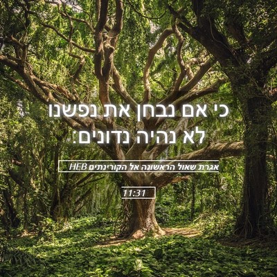 Picture 05 - אגרת שאול הראשונה אל הקורינתים 11:31 HEB - כי אם נבחן את נפשנו לא נהיה - Bible Verse Picture