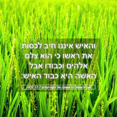 Picture 05 - אגרת שאול הראשונה אל הקורינתים 11:7 HEB - והאיש איננו חיב לכסות את - Bible Verse Picture