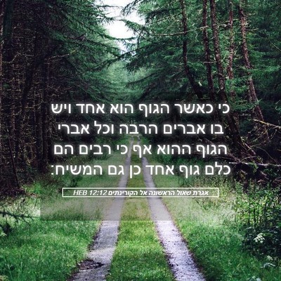 Picture 05 - אגרת שאול הראשונה אל הקורינתים 12:12 HEB - כי כאשר הגוף הוא אחד ויש בו - Bible Verse Picture