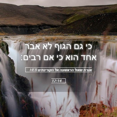 Picture 05 - אגרת שאול הראשונה אל הקורינתים 12:14 HEB - כי גם הגוף לא אבר אחד הוא כי - Bible Verse Picture