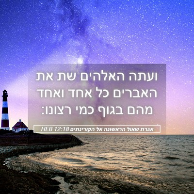 Picture 05 - אגרת שאול הראשונה אל הקורינתים 12:18 HEB - ועתה האלהים שת את האברים כל - Bible Verse Picture