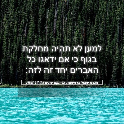 Picture 05 - אגרת שאול הראשונה אל הקורינתים 12:25 HEB - למען לא תהיה מחלקת בגוף כי - Bible Verse Picture