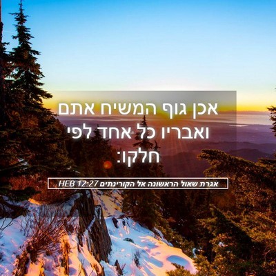 Picture 05 - אגרת שאול הראשונה אל הקורינתים 12:27 HEB - אכן גוף המשיח אתם ואבריו כל - Bible Verse Picture