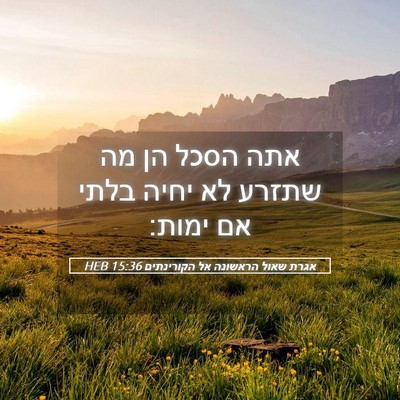 Picture 05 - אגרת שאול הראשונה אל הקורינתים 15:36 HEB - אתה הסכל הן מה שתזרע לא - Bible Verse Picture