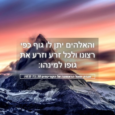 Picture 05 - אגרת שאול הראשונה אל הקורינתים 15:38 HEB - והאלהים יתן לו גוף כפי - Bible Verse Picture