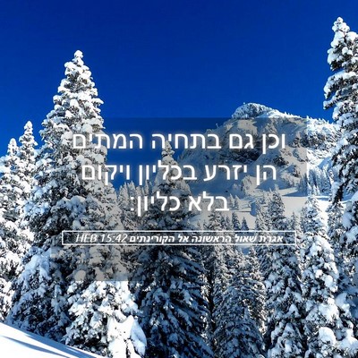 Picture 05 - אגרת שאול הראשונה אל הקורינתים 15:42 HEB - וכן גם בתחיה המתים הן יזרע - Bible Verse Picture