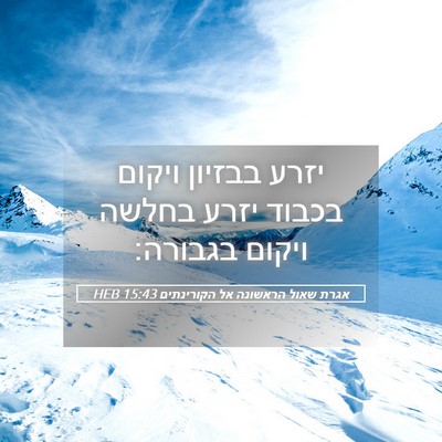 Picture 05 - אגרת שאול הראשונה אל הקורינתים 15:43 HEB - יזרע בבזיון ויקום בכבוד - Bible Verse Picture