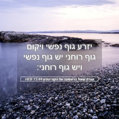 Picture 05 - אגרת שאול הראשונה אל הקורינתים 15:44 HEB - יזרע גוף נפשי ויקום גוף - Bible Verse Picture