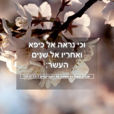 Picture 05 - אגרת שאול הראשונה אל הקורינתים 15:5 HEB - וכי נראה אל כיפא ואחריו אל - Bible Verse Picture