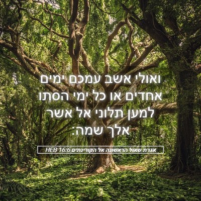 Picture 05 - אגרת שאול הראשונה אל הקורינתים 16:6 HEB - ואולי אשב עמכם ימים אחדים - Bible Verse Picture