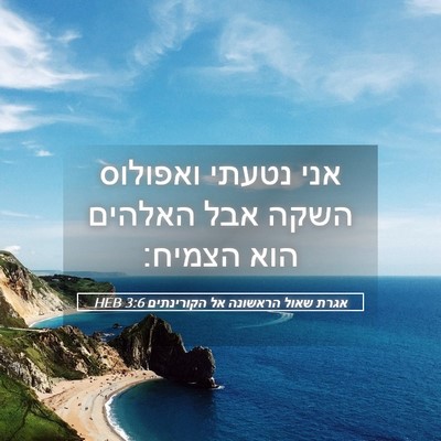 Picture 05 - אגרת שאול הראשונה אל הקורינתים 3:6 HEB - אני נטעתי ואפולוס השקה אבל - Bible Verse Picture